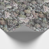 Succulente Groot en Gedempte Sempervivums - Cadeaupapier (Hoek)