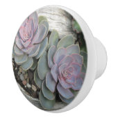 Succulente keramische Knob Keramische Knop (Rechts)