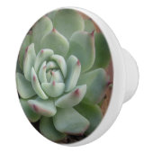 Succulente keramische Knob Keramische Knop (Rechts)