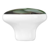Succulente keramische Knob Knop (Zijkant)