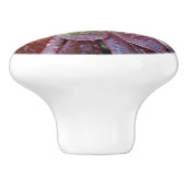 succulente keramische trek knop (Zijkant)