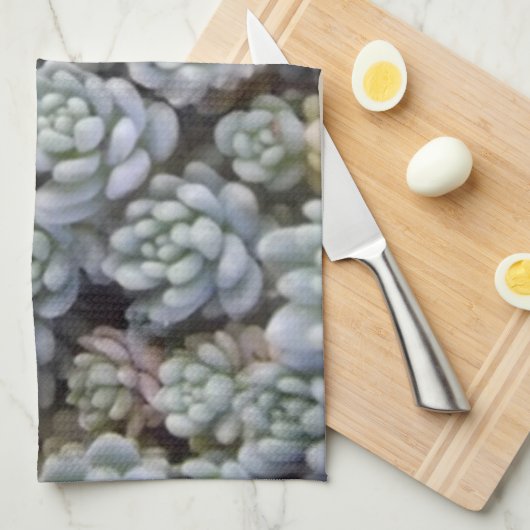 Succulente keukenhanddoek (Quarter Fold)