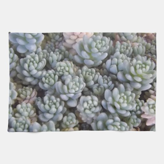 Succulente keukenhanddoek (Horizontaal)