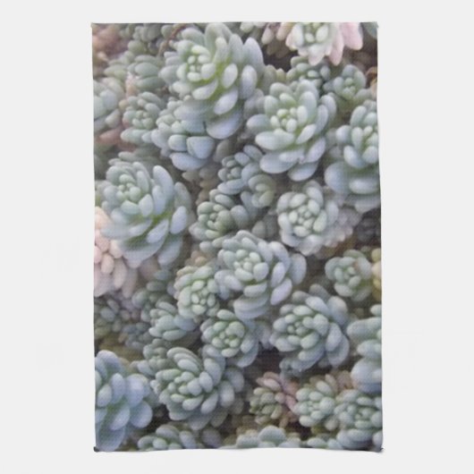 Succulente keukenhanddoek (Verticaal)