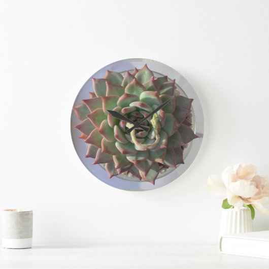 succulente klok (Huis)