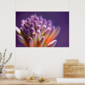 Succulente knoppen afdrukken poster (Keuken)