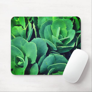 Succulente   muismat