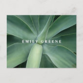 succulente notitiekaarten (Voorkant)