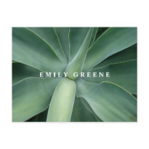 succulente notitiekaarten