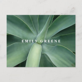 succulente notitiekaarten