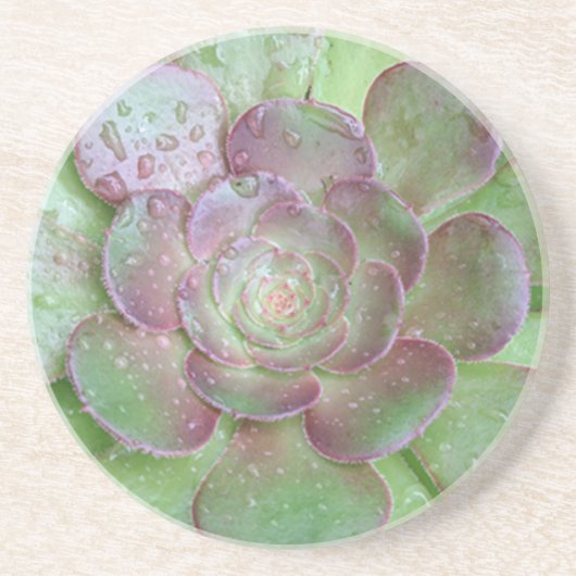 Succulente onderzetters (Voorkant)