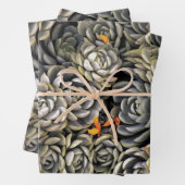 Succulente planten in grijs en bruin inpakpapier vel (In situ)