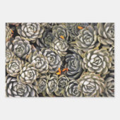 Succulente planten in grijs en bruin inpakpapier vel (Voorkant)