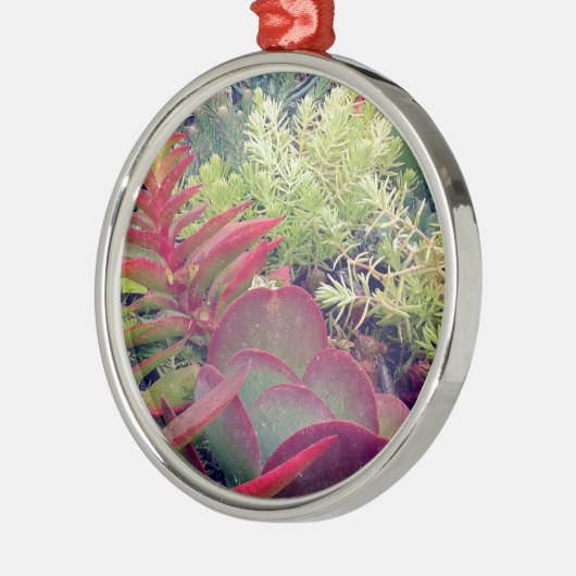 Succulente Planten Metalen Ornament (Links)