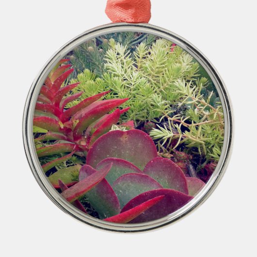 Succulente Planten Metalen Ornament (Voorkant)