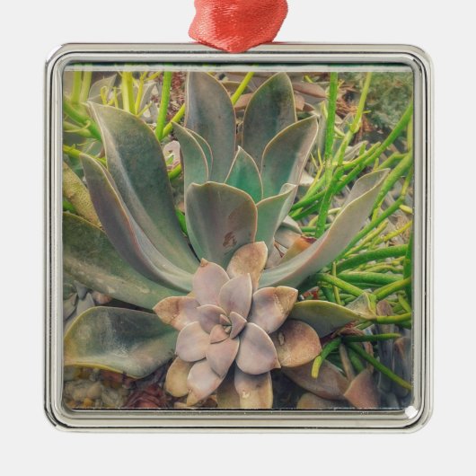 Succulente Planten Metalen Ornament (Voorkant)