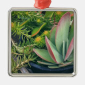 Succulente Planten Metalen Ornament (Voorkant)