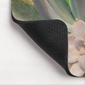  Succulente Planten Muismat (Hoek)