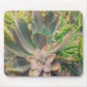  Succulente Planten Muismat (Voorkant)