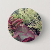 Succulente Planten Ronde Button 5,7 Cm (Voorkant)