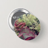 Succulente Planten Ronde Button 5,7 Cm (Voorkant /achterkant)