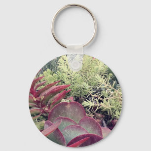 Succulente Planten Sleutelhanger