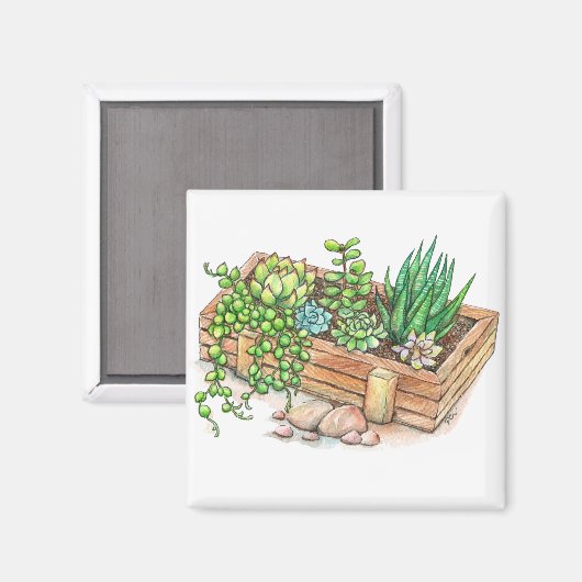 succulente plantenbak magneet (Voorkant / Achterkant)
