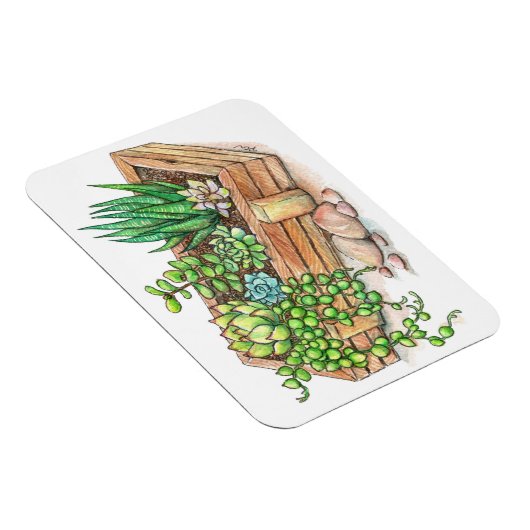 succulente plantenbak magneet (Rechterzijde)