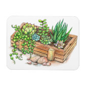 succulente plantenbak magneet (Horizontaal)