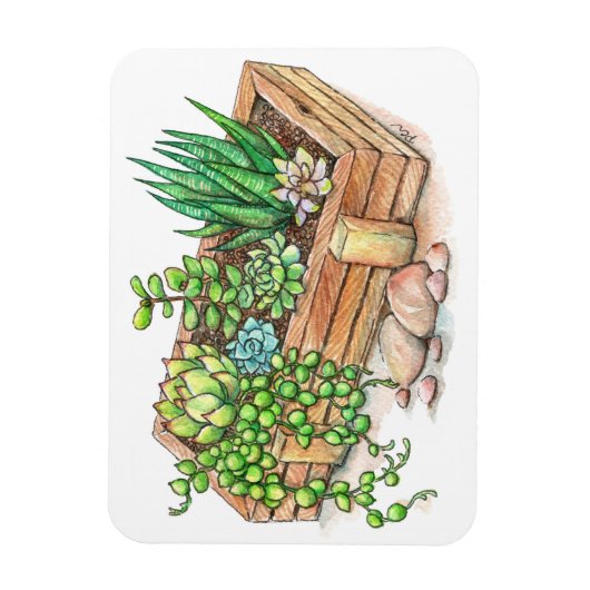 succulente plantenbak magneet (Verticaal)