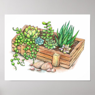 succulente plantenbak poster