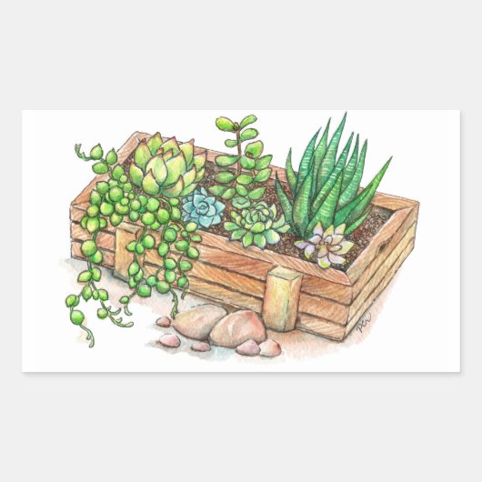 succulente plantenbak rechthoekige sticker (Voorkant)