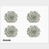 Succulente postzegel rechthoekige sticker (Vel)