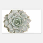 Succulente postzegel rechthoekige sticker (Voorkant)
