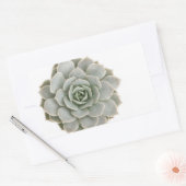 Succulente postzegel rechthoekige sticker (Envelop)