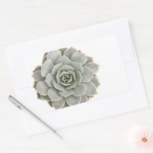 Succulente postzegel rechthoekige sticker (Envelop)