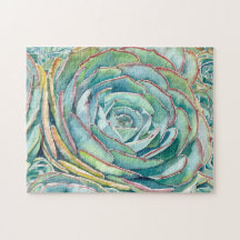 Succulente puzzel: Blauwe Roos Echeveria