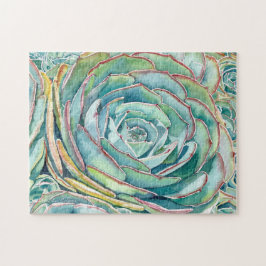 Succulente puzzel: Blauwe Roos Echeveria Legpuzzel