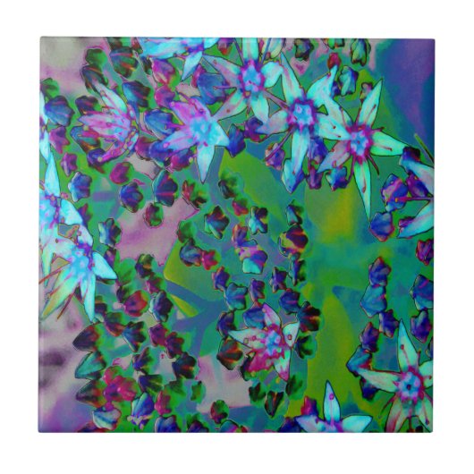 Succulente Sedum Flowers in Aqua, Paars en blauw Tegeltje (Voorkant)
