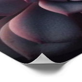 Succulente Symfonie - Levendige Botanische Poster (Hoek)