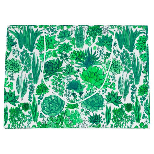 Succulente tuin groot cadeauzakje (Voorkant)