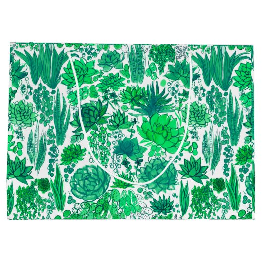 Succulente tuin groot cadeauzakje (Achterkant)