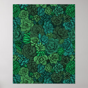 Succulente tuin in groen poster