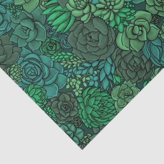 Succulente tuin in groen tissuepapier (Detail)