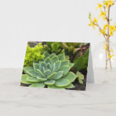 Succulente tuin kaart (Gele Bloem)