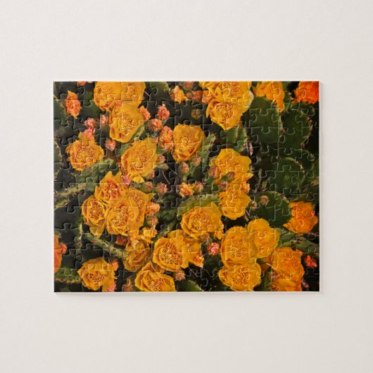 Succulente tuinbloemen Gele groene Planten Legpuzzel (Horizontaal)