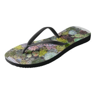 Succulente tuinen teenslippers