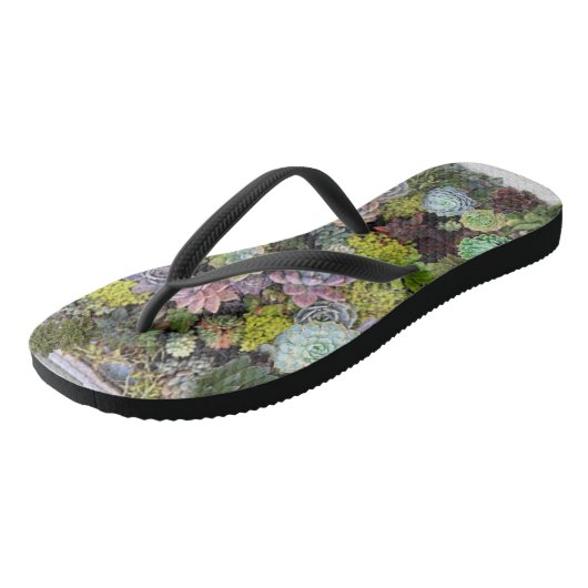 Succulente tuinen teenslippers (Schuin)
