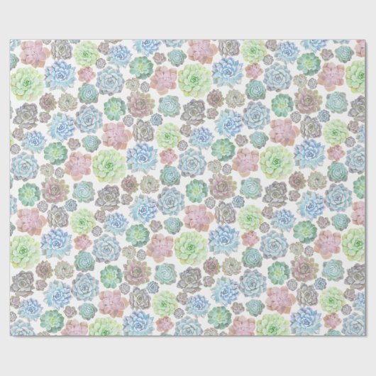 Succulente verpakking van papier (Vlak)