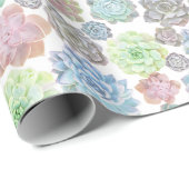 Succulente verpakking van papier (Rol Hoek)